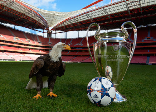 跟队：邓弗里斯脚踝疼痛未消除，可能告别2025年剩余比赛（队记：邓弗里斯脚踝伤势未愈，恐无缘2025年剩余赛程）